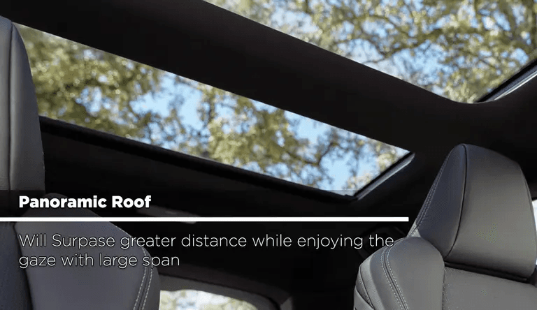Panoramic Roof