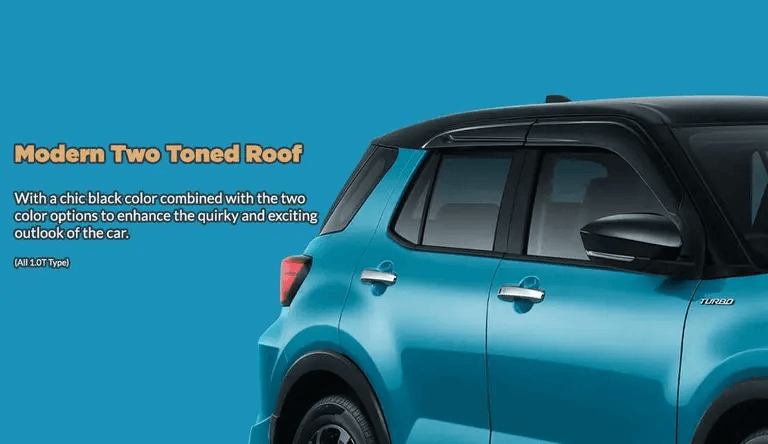Two Toned Roof