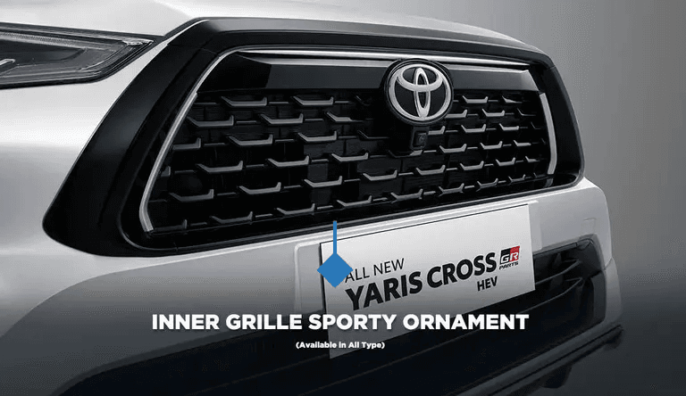 Grille Sporty Ornament